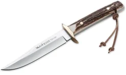 Bowie Medium