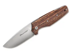 Dan1 Bocote