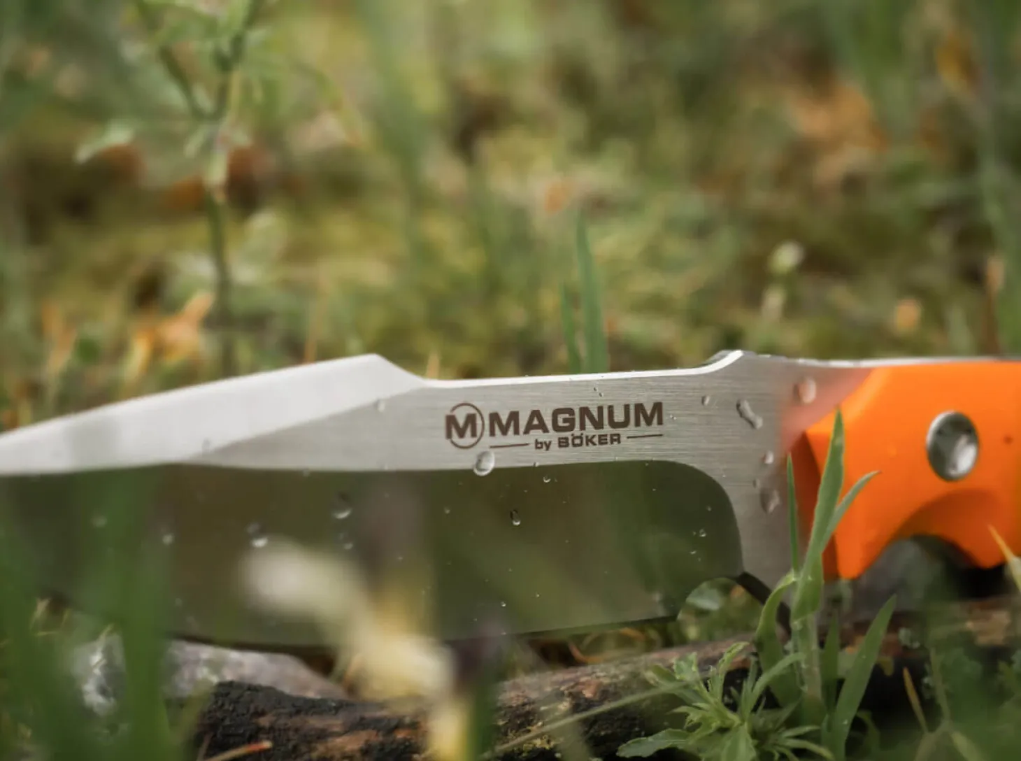 EFD