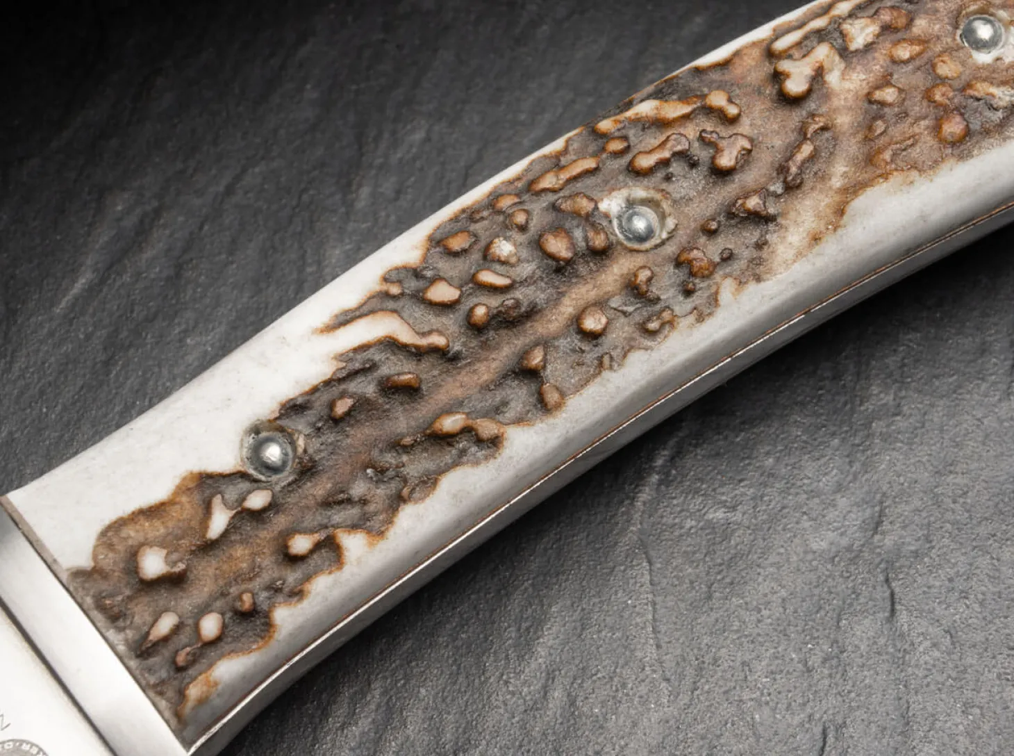 Esculta Hirschhorn