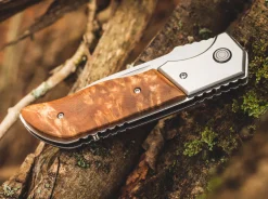 Forest Ranger 42