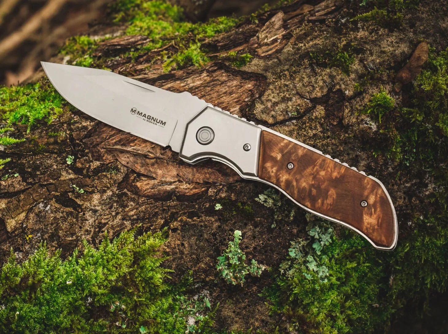 Forest Ranger 42