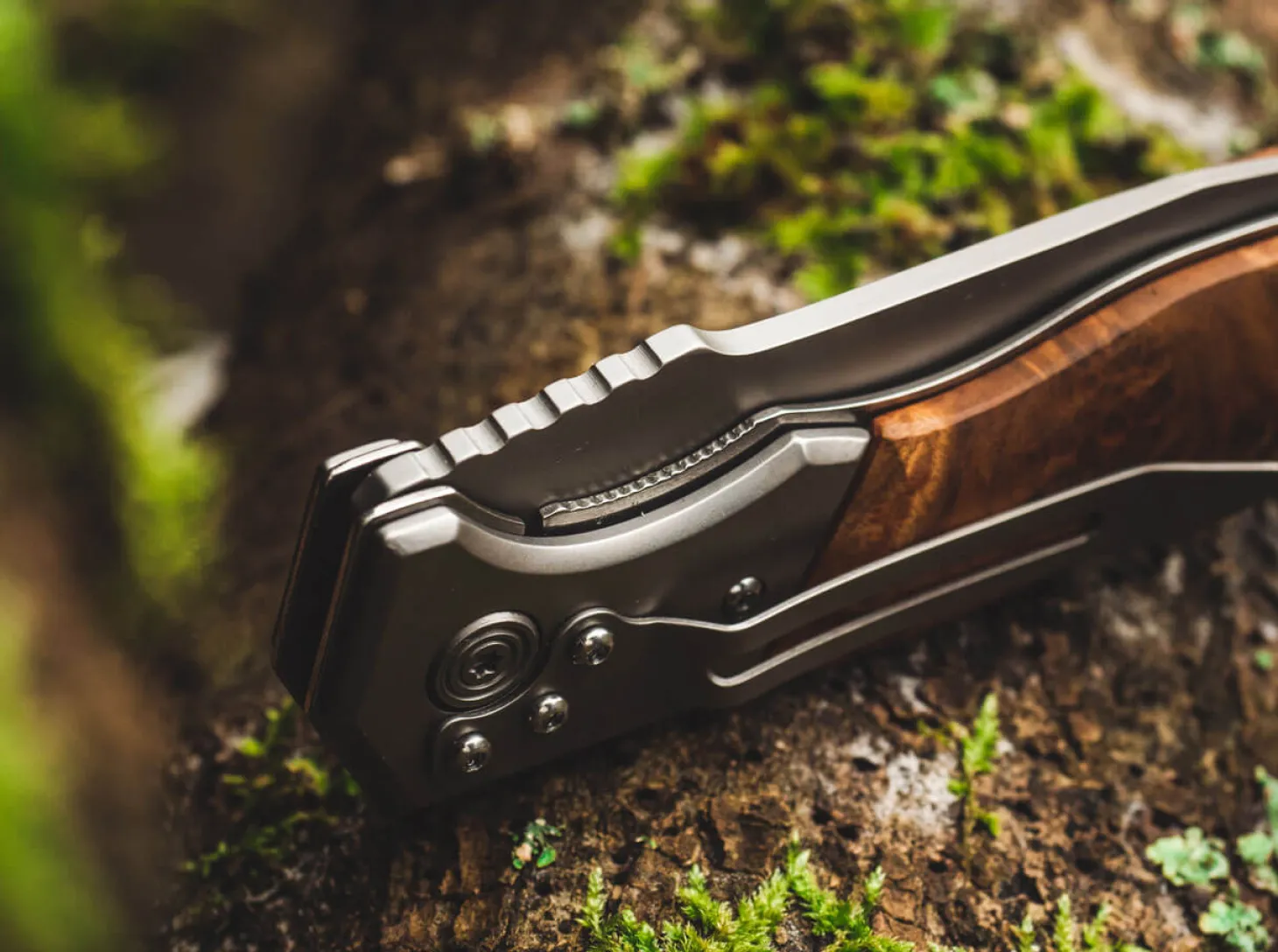 Forest Ranger 42