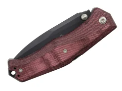 Gekko 1555