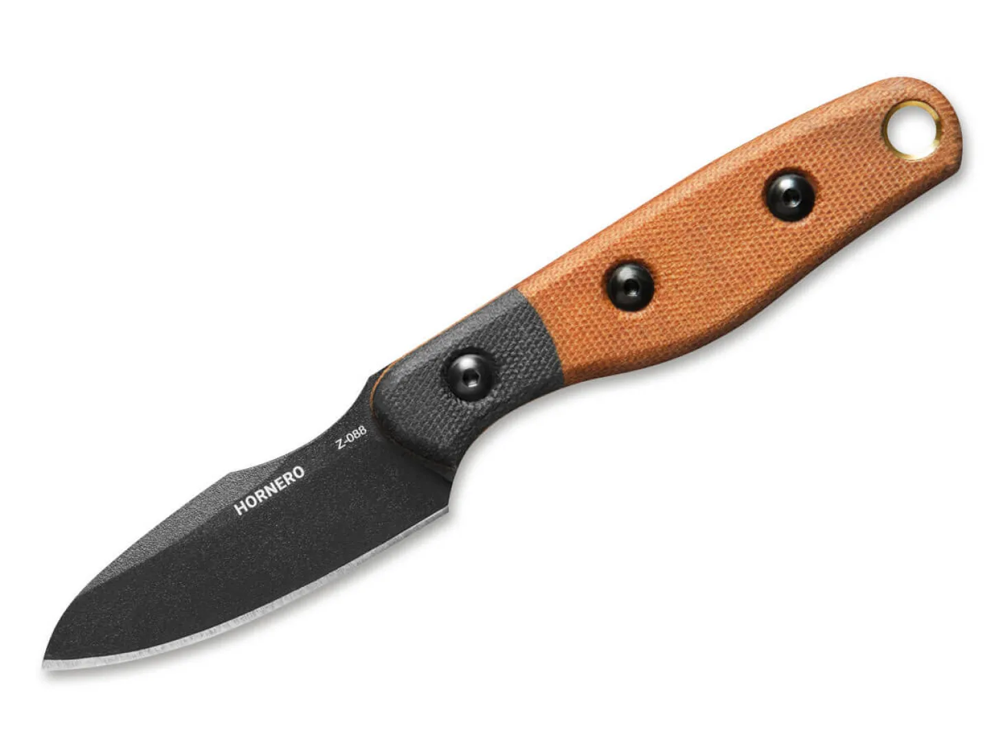 Hornero