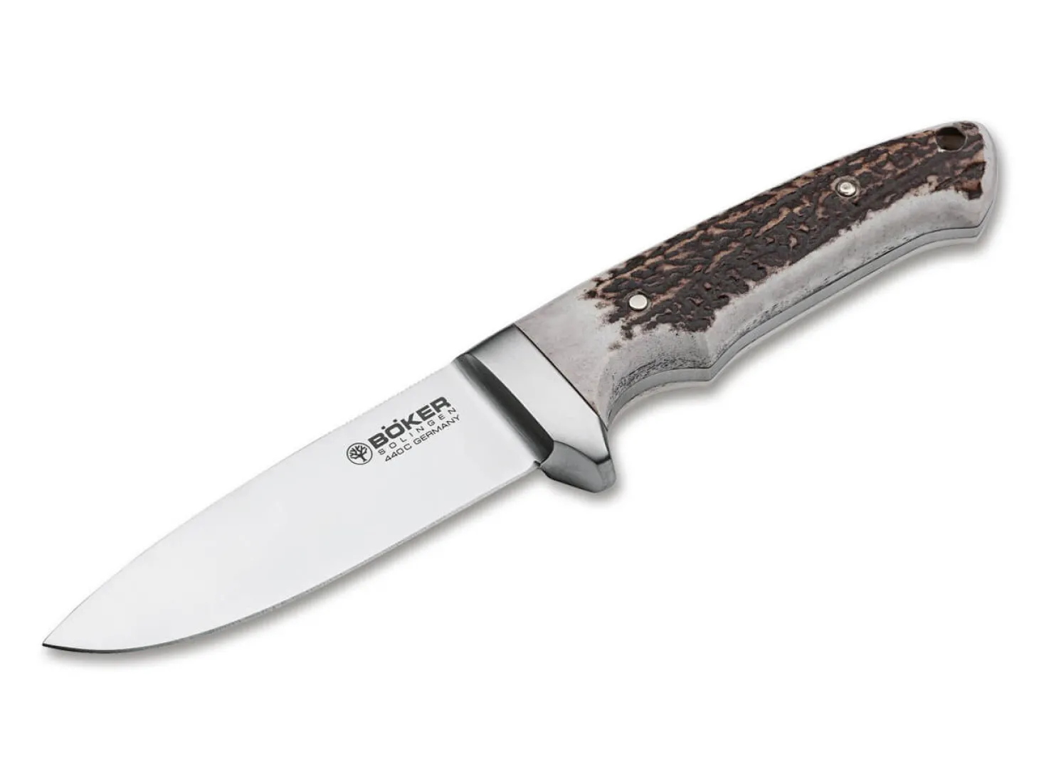Integral II Hirschhorn