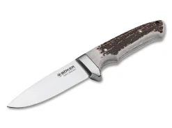 Integral II Hirschhorn