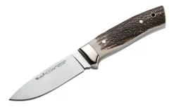 Kodiak Stag