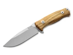 M5 Olive Wood