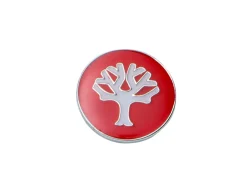 Pin