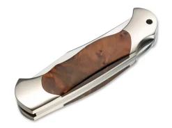 Scout Thuja