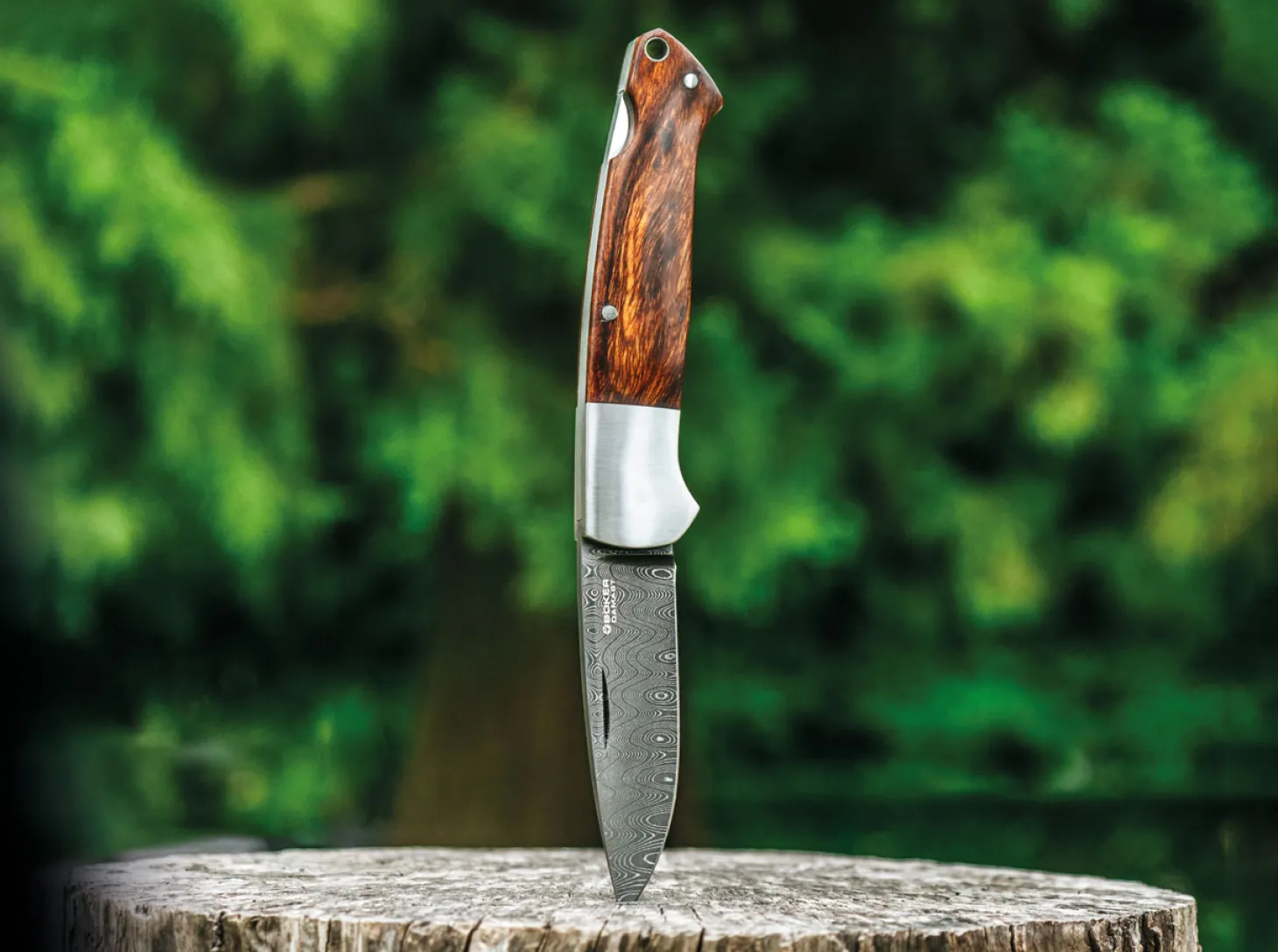 Special Run Davis Classic Hunter Damast WE