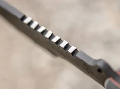 SXB