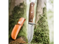 Walnut Drop